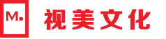 视美东营庆典公司logo